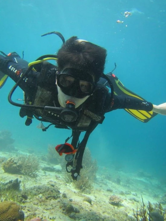 IMG_1693.JPG?type=w1