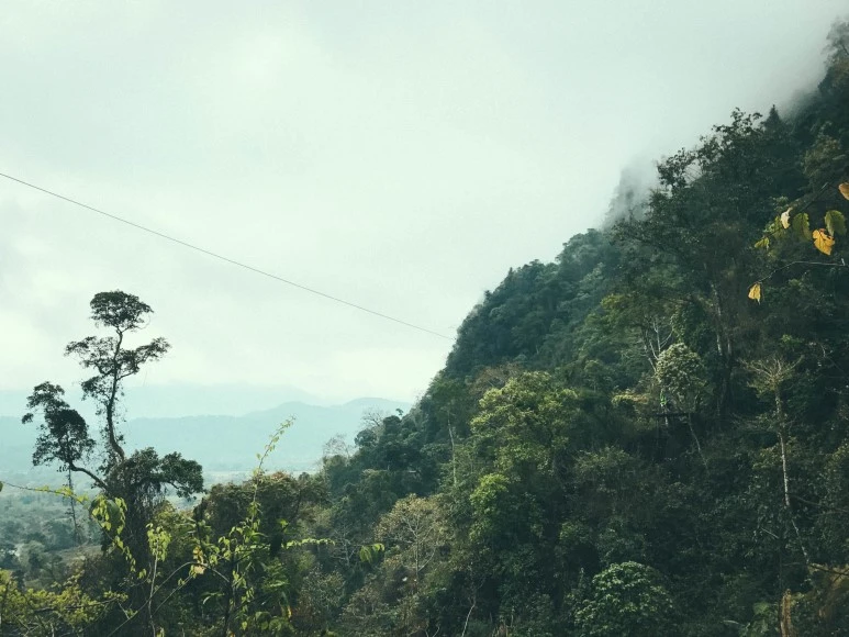 %EB%9D%BC%EC%98%A4%EC%8A%A4_3%EC%9D%BC%EC%B0%A8-17.jpg?type=w773