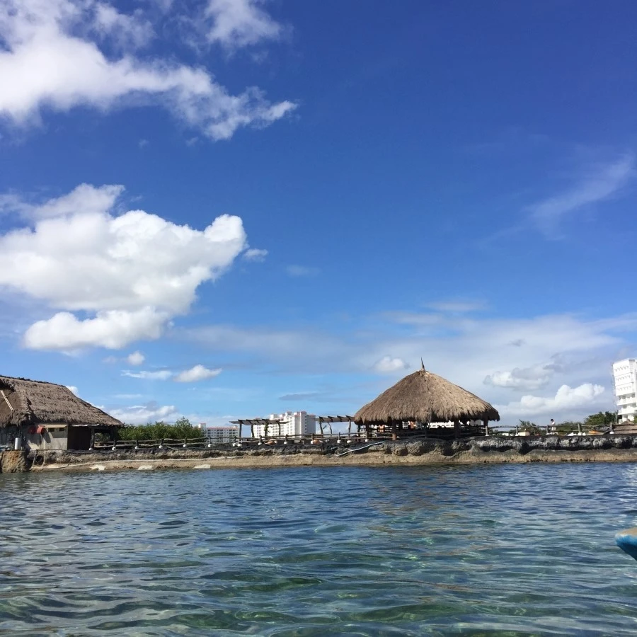 IMG_1391.JPG?type=w1