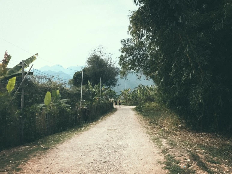 %EB%9D%BC%EC%98%A4%EC%8A%A4_1%EC%9D%BC%EC%B0%A8-18.jpg?type=w773