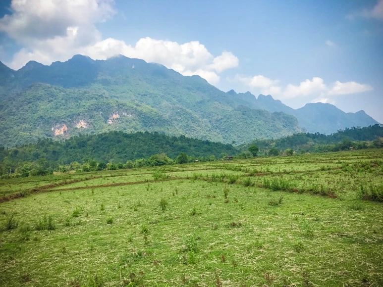 %EB%9D%BC%EC%98%A4%EC%8A%A4_3%EC%9D%BC%EC%B0%A8-23.jpg?type=w773