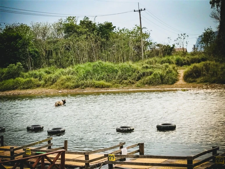 %EB%9D%BC%EC%98%A4%EC%8A%A4_1%EC%9D%BC%EC%B0%A8-23.jpg?type=w773