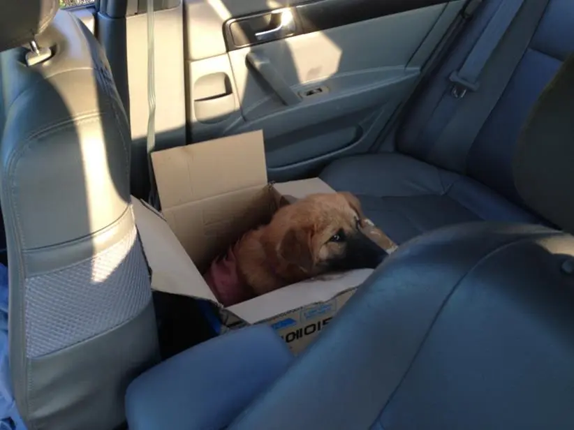 246DE642544B97740EC400