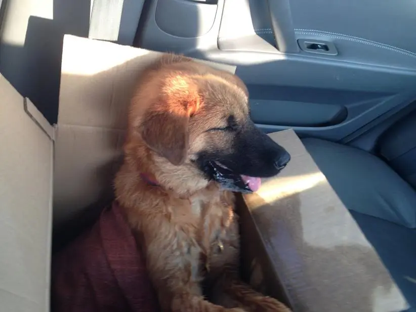 2562BB34544B9772292F15