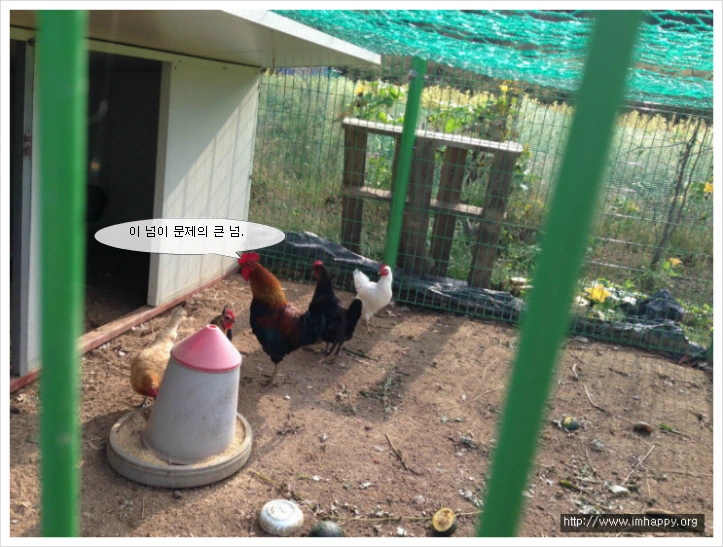 2775893654260C622F9B3B