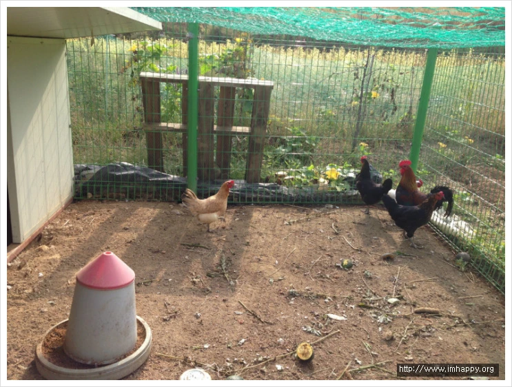 2150504B542607C31E0FA5