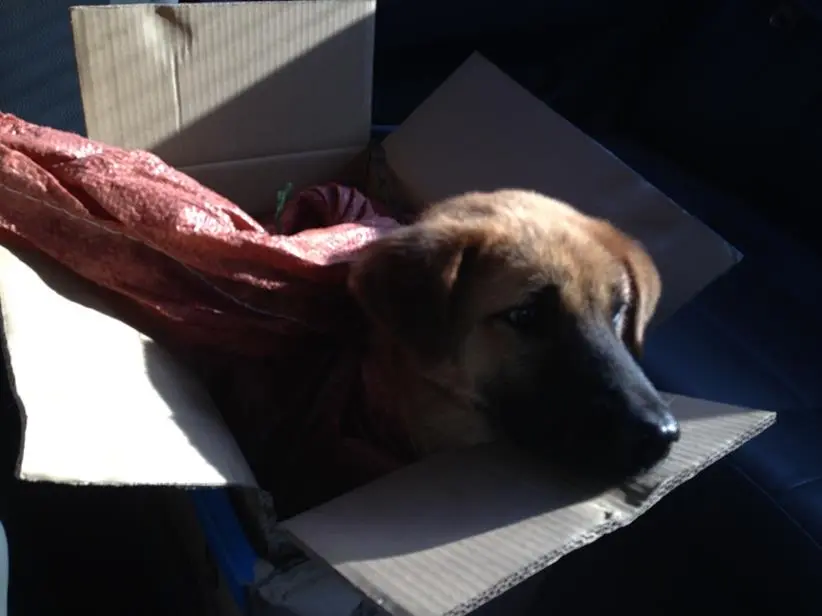 271C9638544B977105B6BE