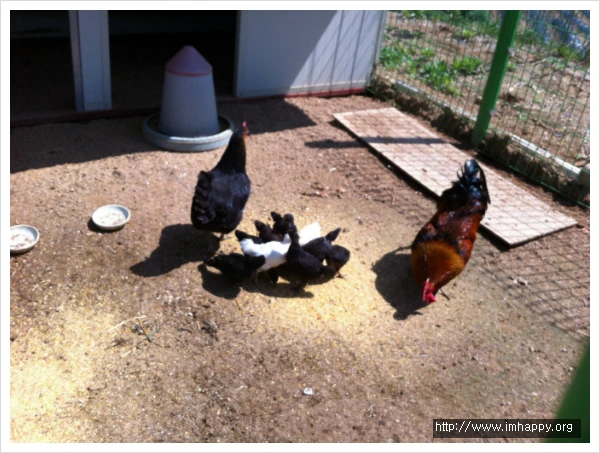 2455794C555547F01EF2C1