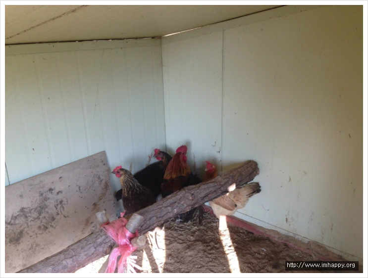 25460E4B542607B72718C5