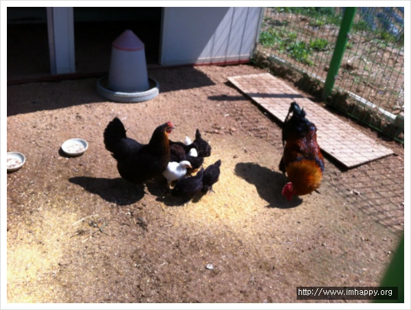 244EB14C555547EF228BE7