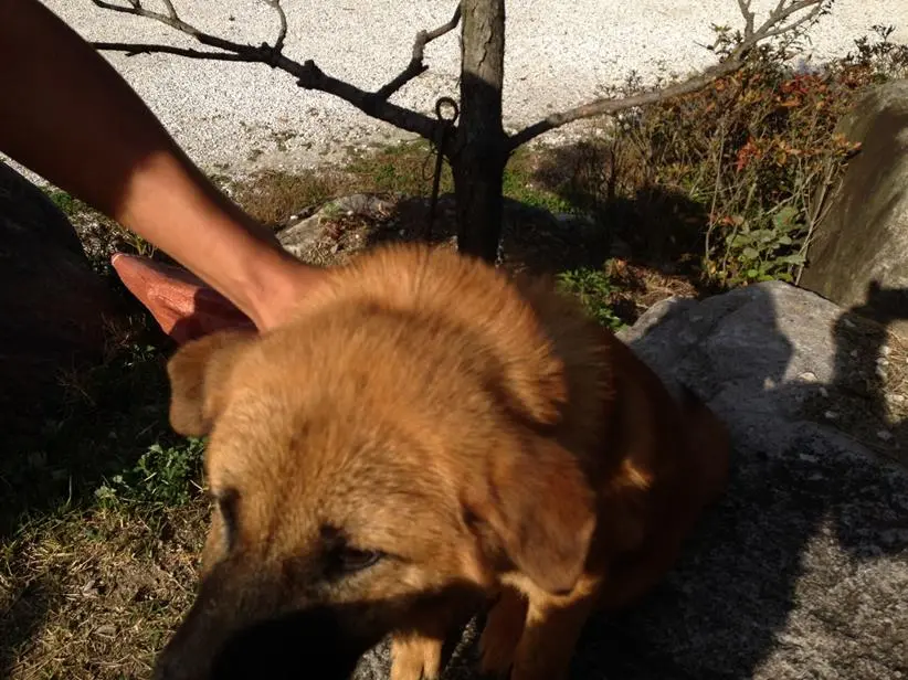 25777B39544B97701C3CDA