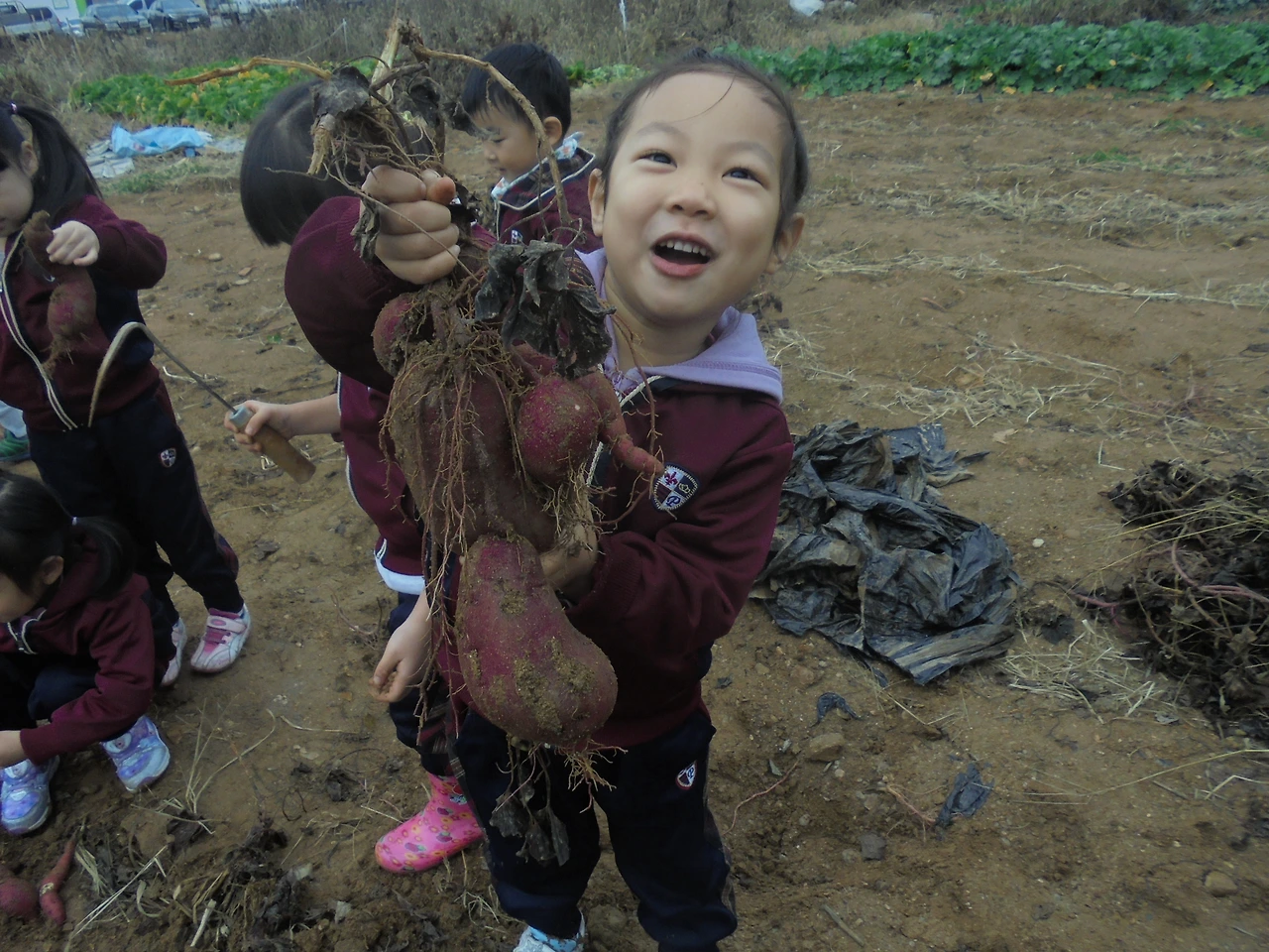 11-2 농장 (21).JPG