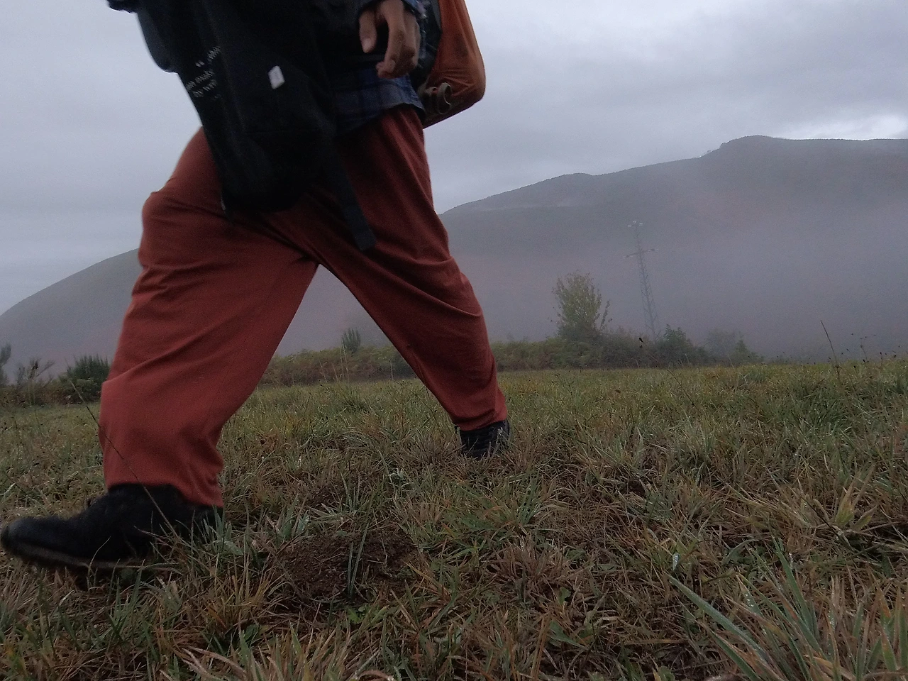 2주차 4편 D+6_.JPG