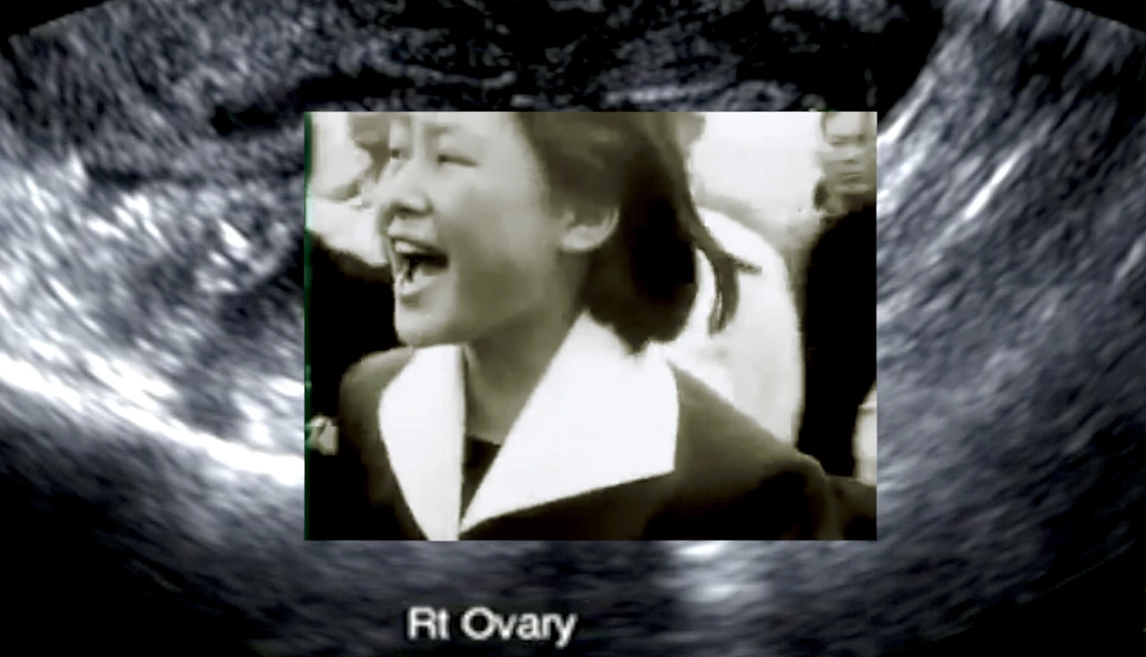 다신, 태어나, 다시 (1).jfif