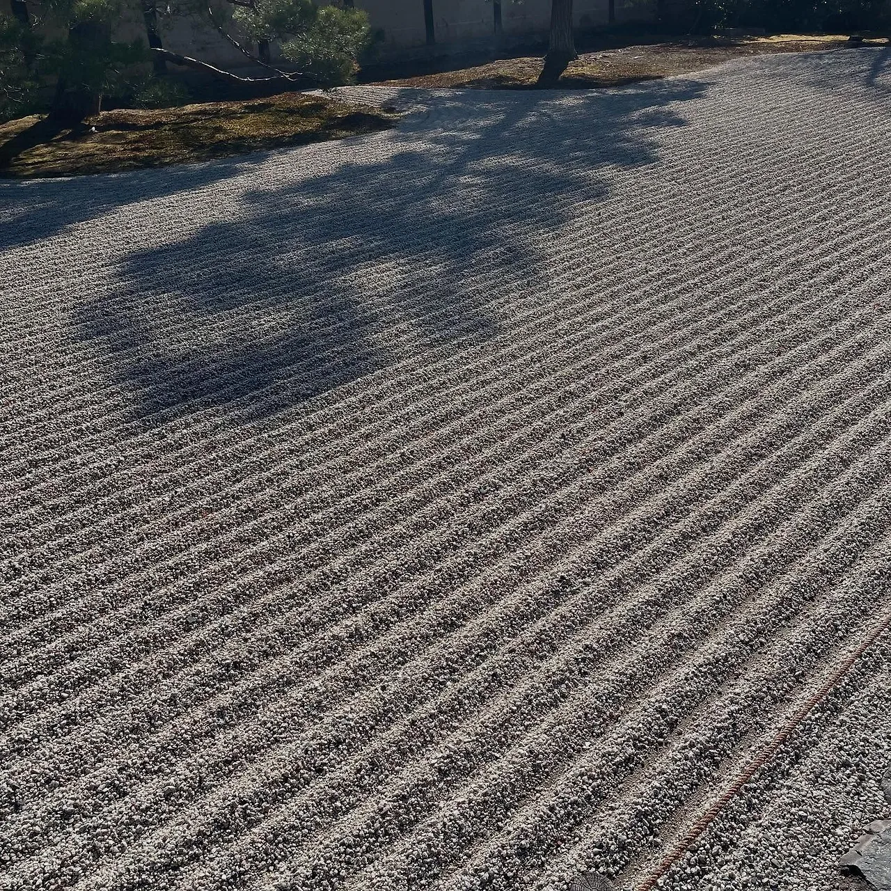 476490557_18481068856050513_9091136189188383574_n.jpg?stp=dst-jpegr_tt6&_nc_cat=110&ccb=1-7&_nc_sid=127cfc&_nc_ohc=SS6hTOeJfMEQ7kNvgEwflnM&_nc_oc=AdjvVduh7PYfhJ6tKT-Yfx_XmYzI5wdvhLqGoIqM77AtHmd9Np7sG-TeF0G14DqcO-g&_nc_zt=23&se=-1&_nc_ht=scontent-gmp1-1.xx&_nc_gid=AXM7buxIwZ_FS2gOF2GWE7b&oh=00_AYBgHBf5ScFpRr1feHHQQqLHuhIxoEpOfrtxQNuCeI0rMQ&oe=67AFC201