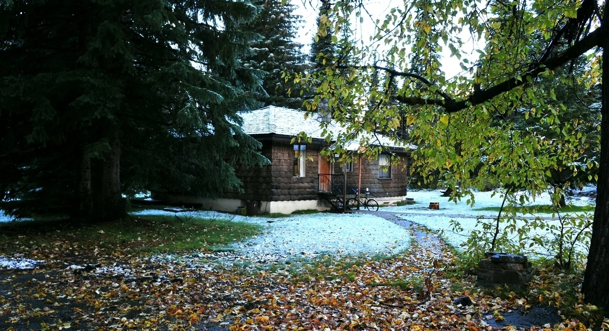 36.미운 겨울.JPG