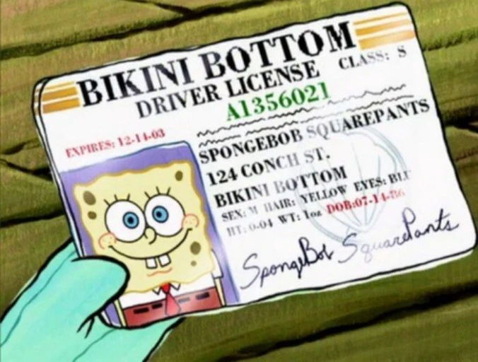 ?src=http%3A%2F%2Fblogfiles.naver.net%2FMjAyMTA4MjVfMjMz%2FMDAxNjI5ODYyOTYwNzky.umrqbELitV_LZA_OJl8A1ZHdaQHvtYu2z7WGiZiB1M4g.WzPn0XtYSydc9AWGIp5ozGa08OOiEgJkM-zSeeHpgkYg.JPEG.wjsusn%2F14.jpg&type=sc960_832