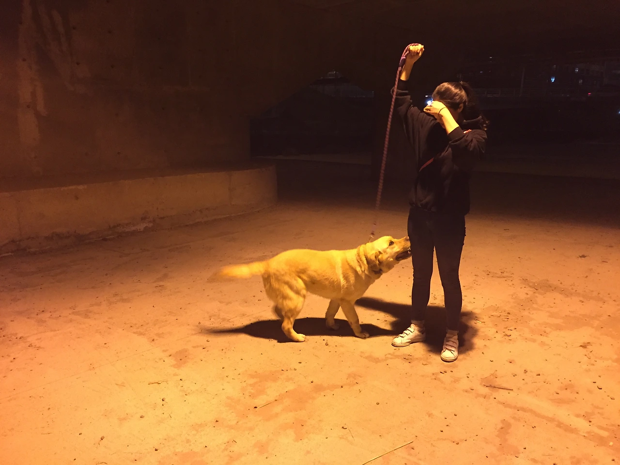 첫번째 산책2.jpeg