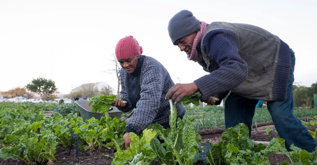 CyWvdsjIBii_IGzptFMbO4CNDn0Fd2mNtgb7cGaPiYIDzBNtfDdoqhIc-RrsW-vH_0TtIpMlhPHnx8u_LEoARsmyeSOOSWpW89rnYISzNFaLtZdIy5_t57zdBdUUlr8sDn9eeWak