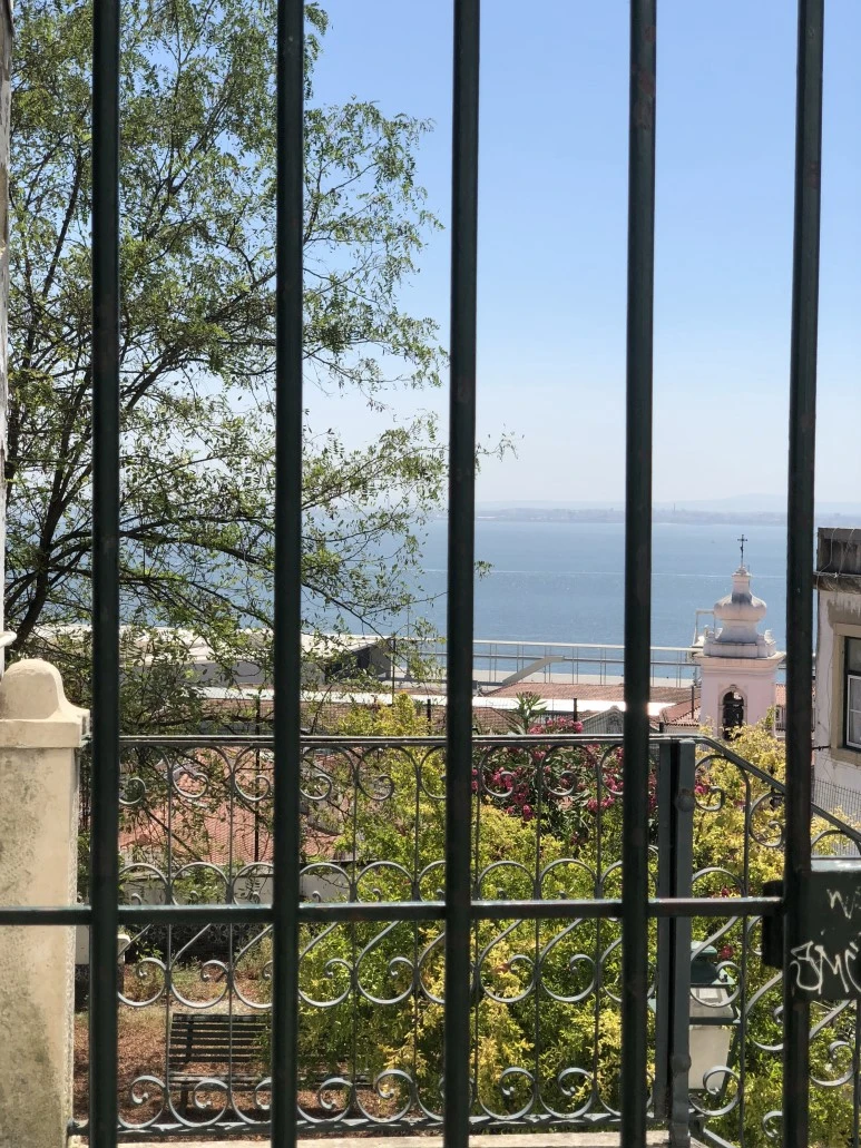 IMG_1381.jpg?type=w773