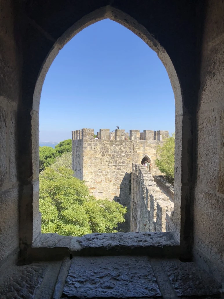 IMG_1780.jpg?type=w773