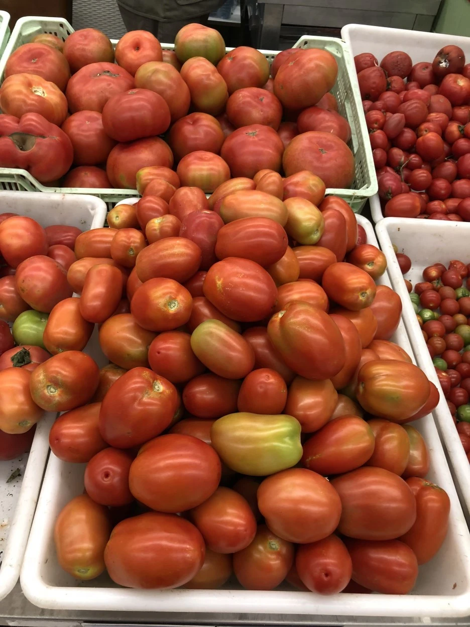 IMG_4067.jpg?type=w1