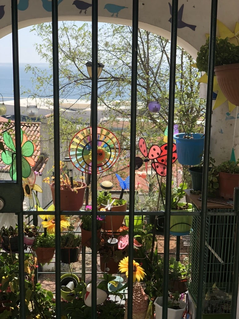 IMG_1376.jpg?type=w773