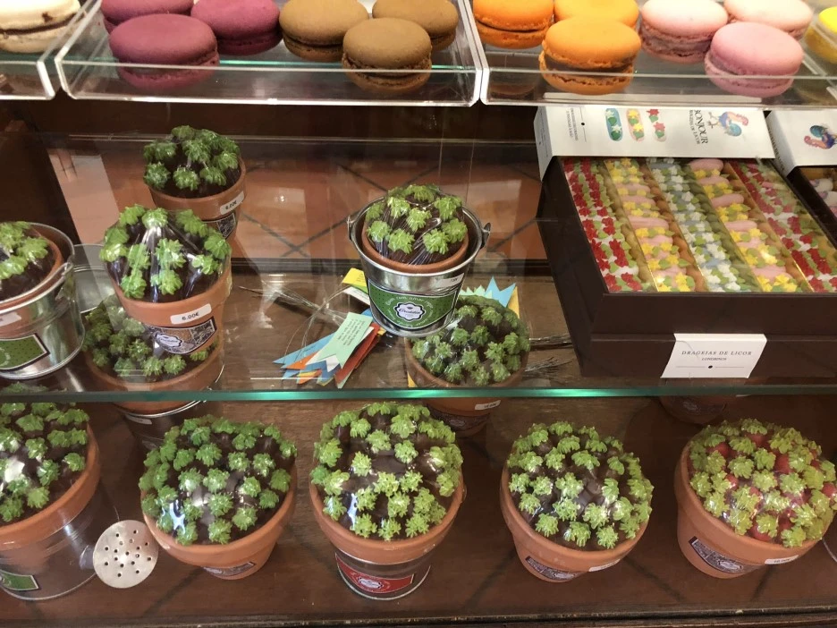 IMG_4110.jpg?type=w1