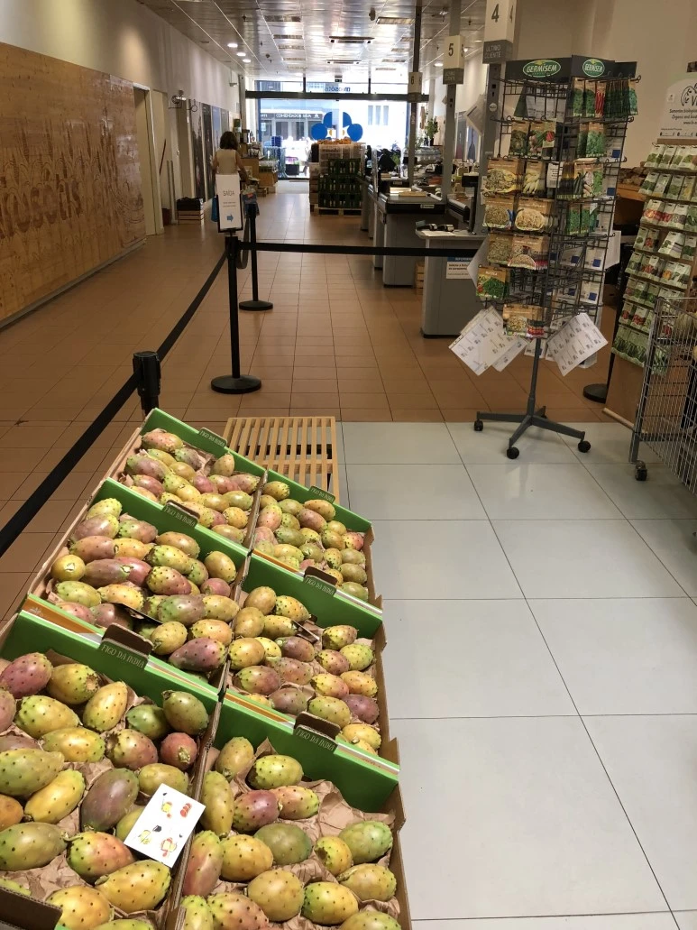 IMG_2179.jpg?type=w773