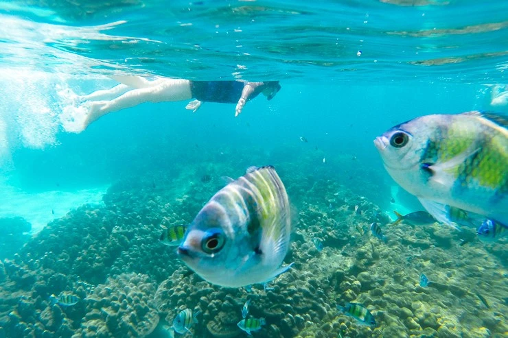 %C8%A3%C5%DA%BD%BA%B4%E5%C4%C409.jpg?type=w740