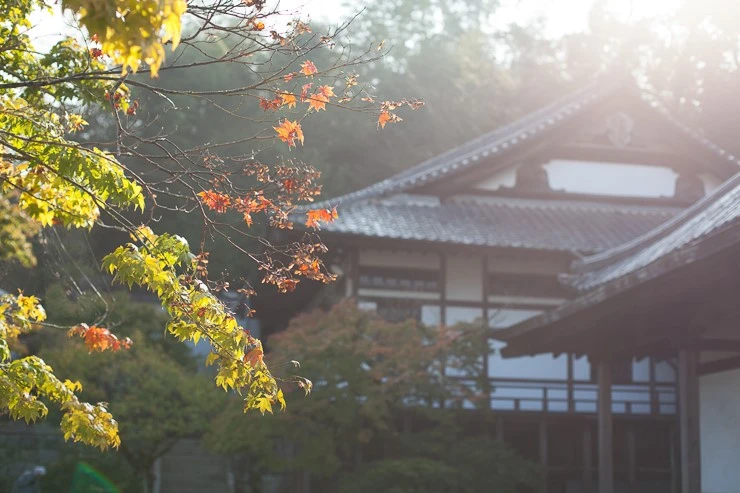 %ED%9B%84%EC%BF%A0%EC%98%A4%EC%B9%B4%EA%B7%BC%EA%B5%90%EC%97%AC%ED%96%89_04.jpg?type=w740