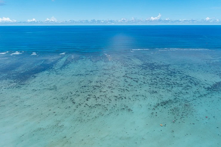 image001.jpg?type=w740