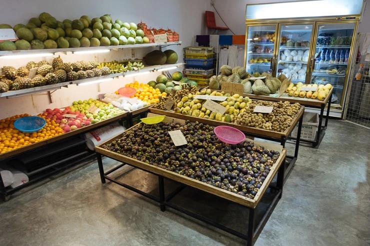 %C8%A3%C5%DA%BD%BA%B4%E5%C4%C421.jpg?type=w740