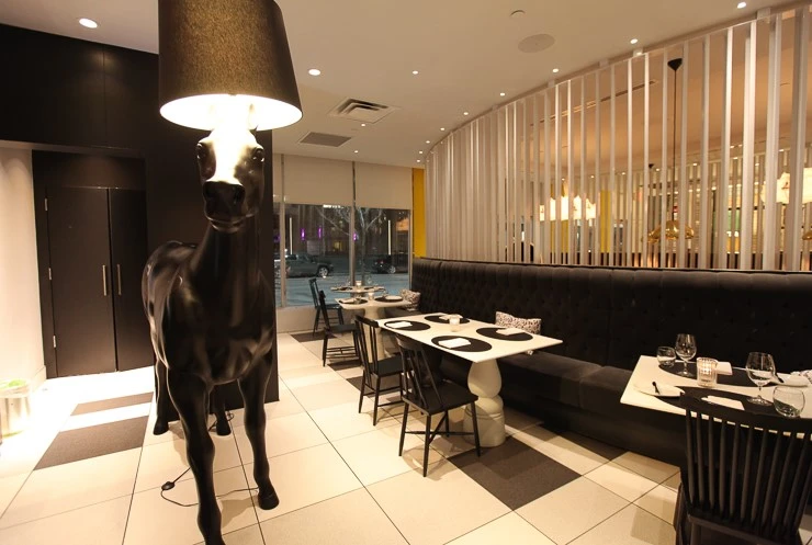 %C4%B3%B3%AA%B4%D9%BE%CB%B9%F6%C5%B8%C8%A3%C5%DA%C3%DF%C3%B518.jpg?type=w740