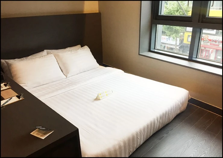 %BC%AD%BF%EF%C8%A3%C5%DA%C3%DF%C3%B52.jpg?type=w740