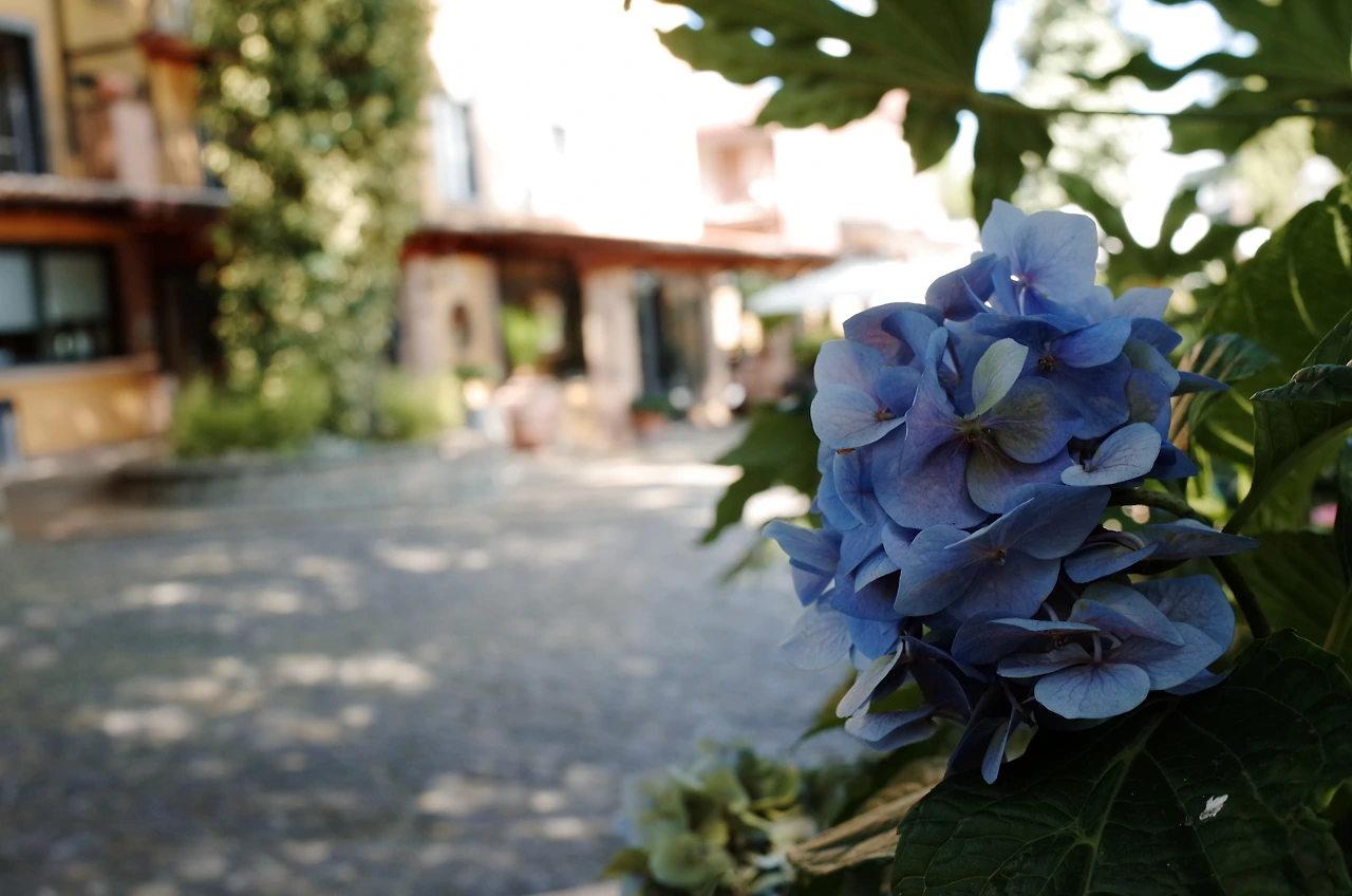 12_이탈리아 로마 남부여행_호텔_01.JPG