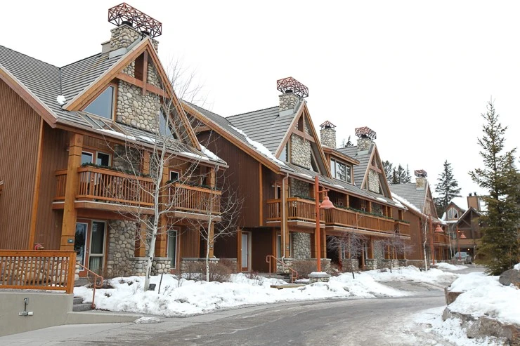 %C4%B3%B3%AA%B4%D9%BE%CB%B9%F6%C5%B8%C8%A3%C5%DA%C3%DF%C3%B510004.jpg?type=w740