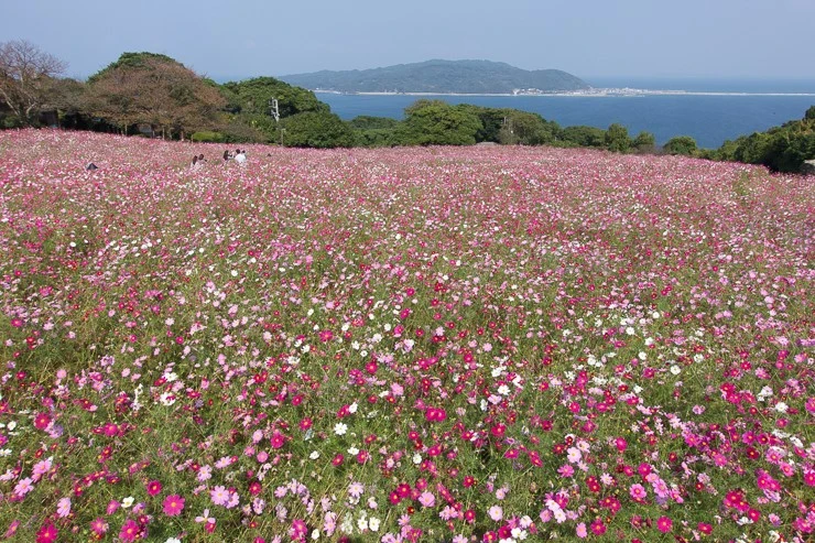 %ED%9B%84%EC%BF%A0%EC%98%A4%EC%B9%B4%EA%B7%BC%EA%B5%90%EC%97%AC%ED%96%89_08.jpg?type=w740