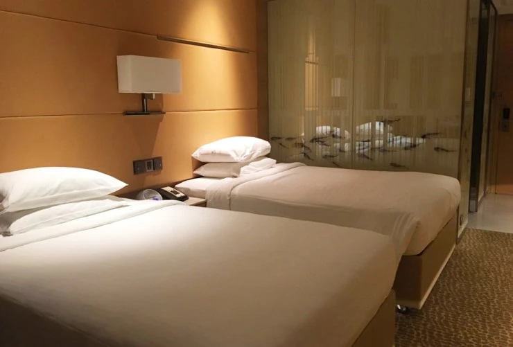 %C8%AB%C4%E1%B8%DE%B8%AE%BE%EE%C6%AE%C8%A3%C5%DA1.jpg?type=w740