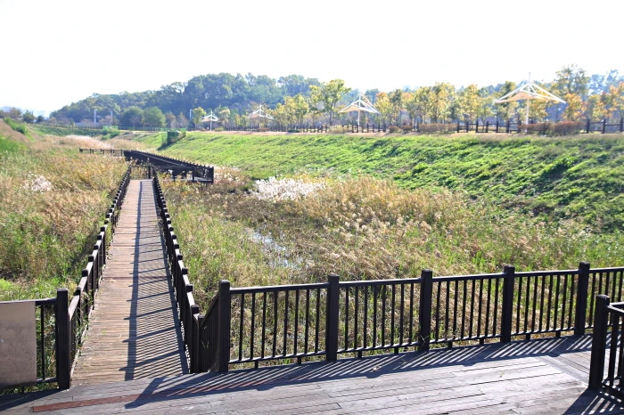 2. Korea_Cheongju_Munam Ecological Park.JPG