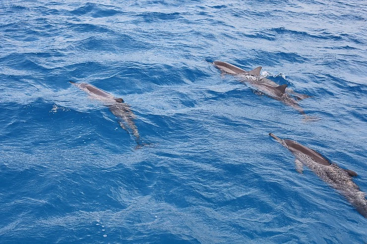 image037.jpg?type=w740