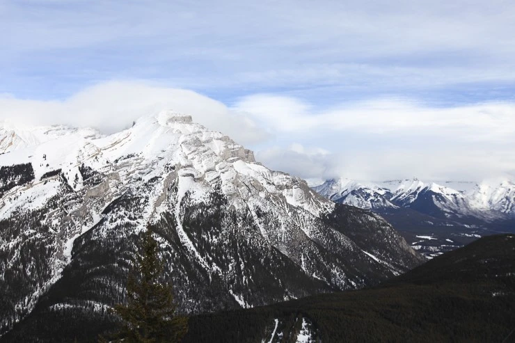 %C4%B3%B3%AA%B4%D9%BE%CB%B9%F6%C5%B8%C8%A3%C5%DA%C3%DF%C3%B510001.jpg?type=w740