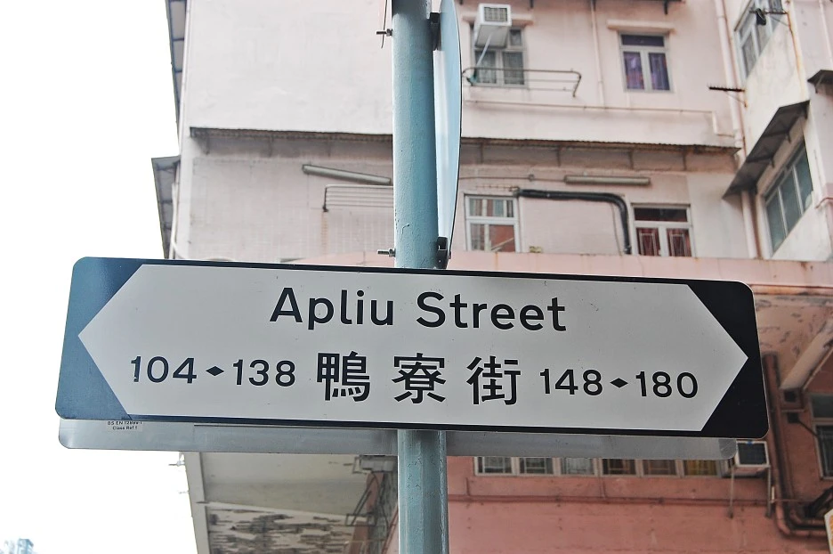 DSC_0006.JPG?type=w1