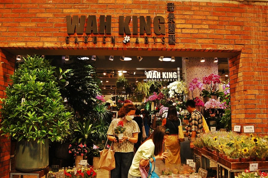 DSC_0018-1.JPG?type=w1