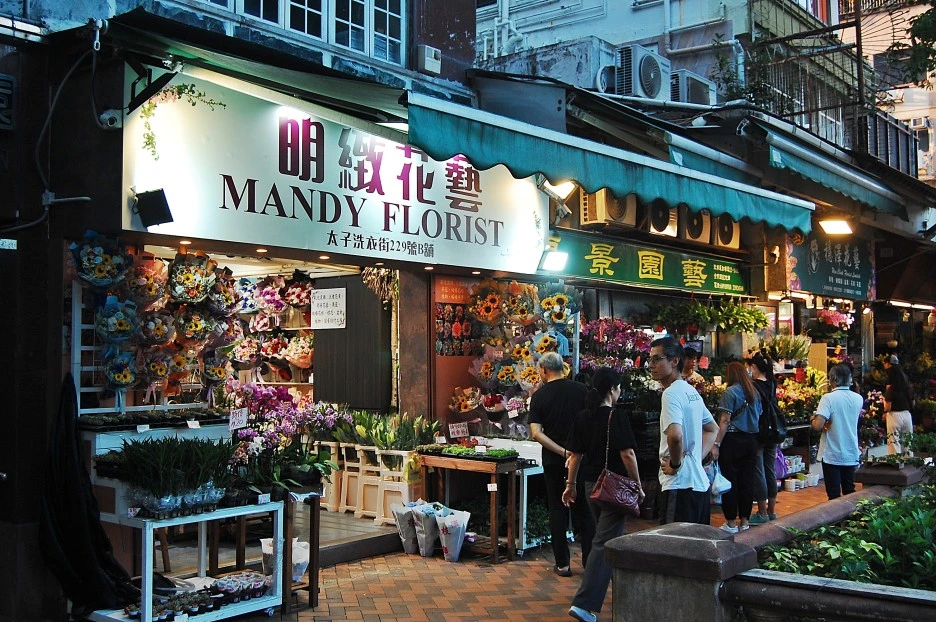 DSC_0019-1.JPG?type=w1