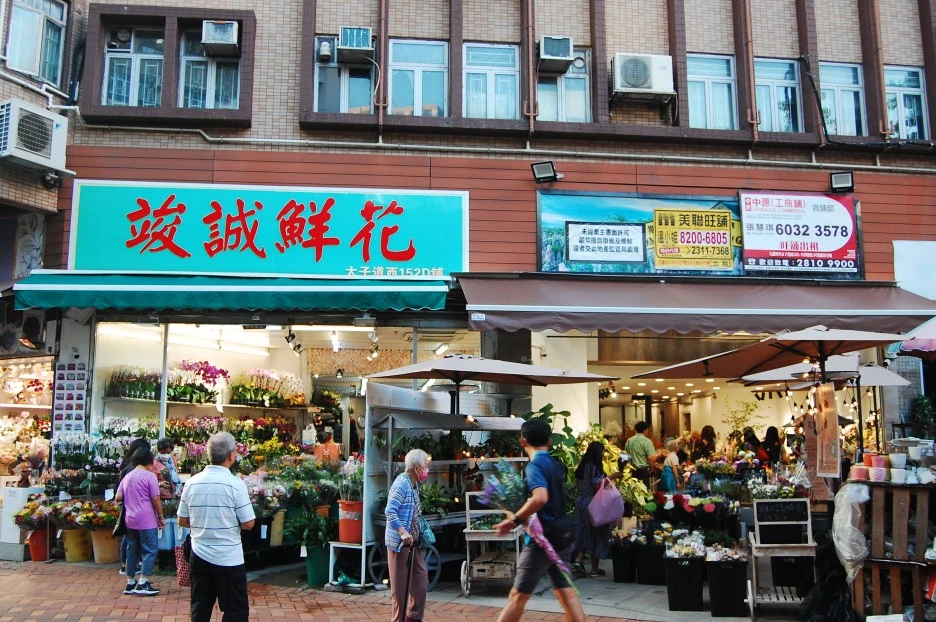 DSC_0013.JPG?type=w1