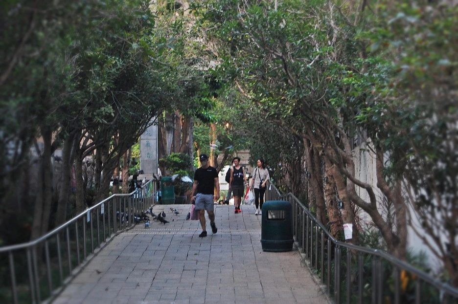 DSC_0034-1.JPG?type=w1