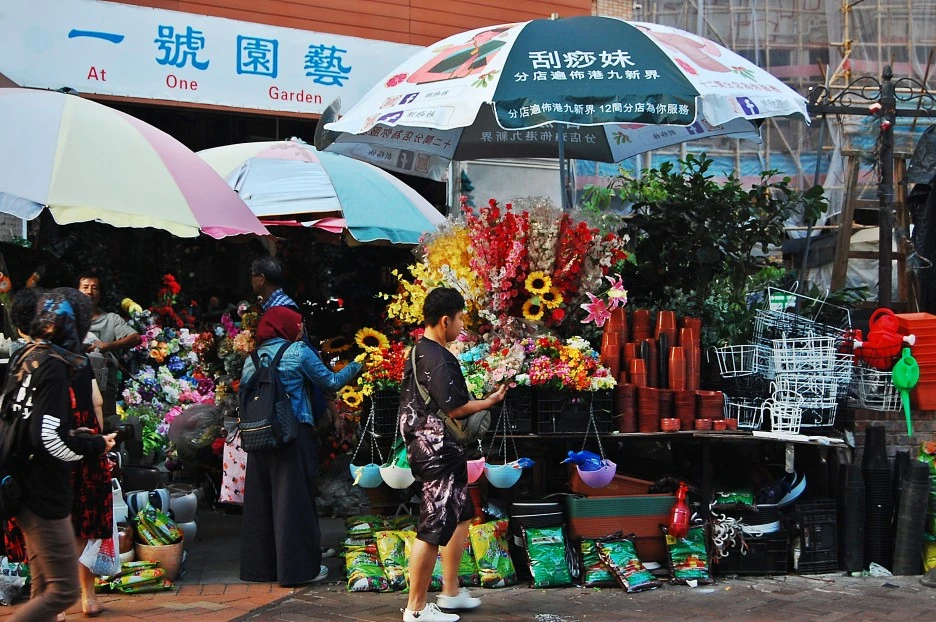 DSC_0014-1.JPG?type=w1