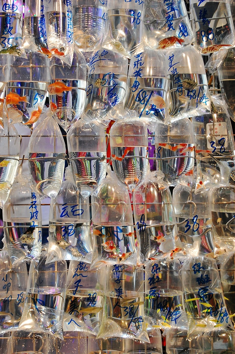 DSC_0052-1.JPG?type=w1