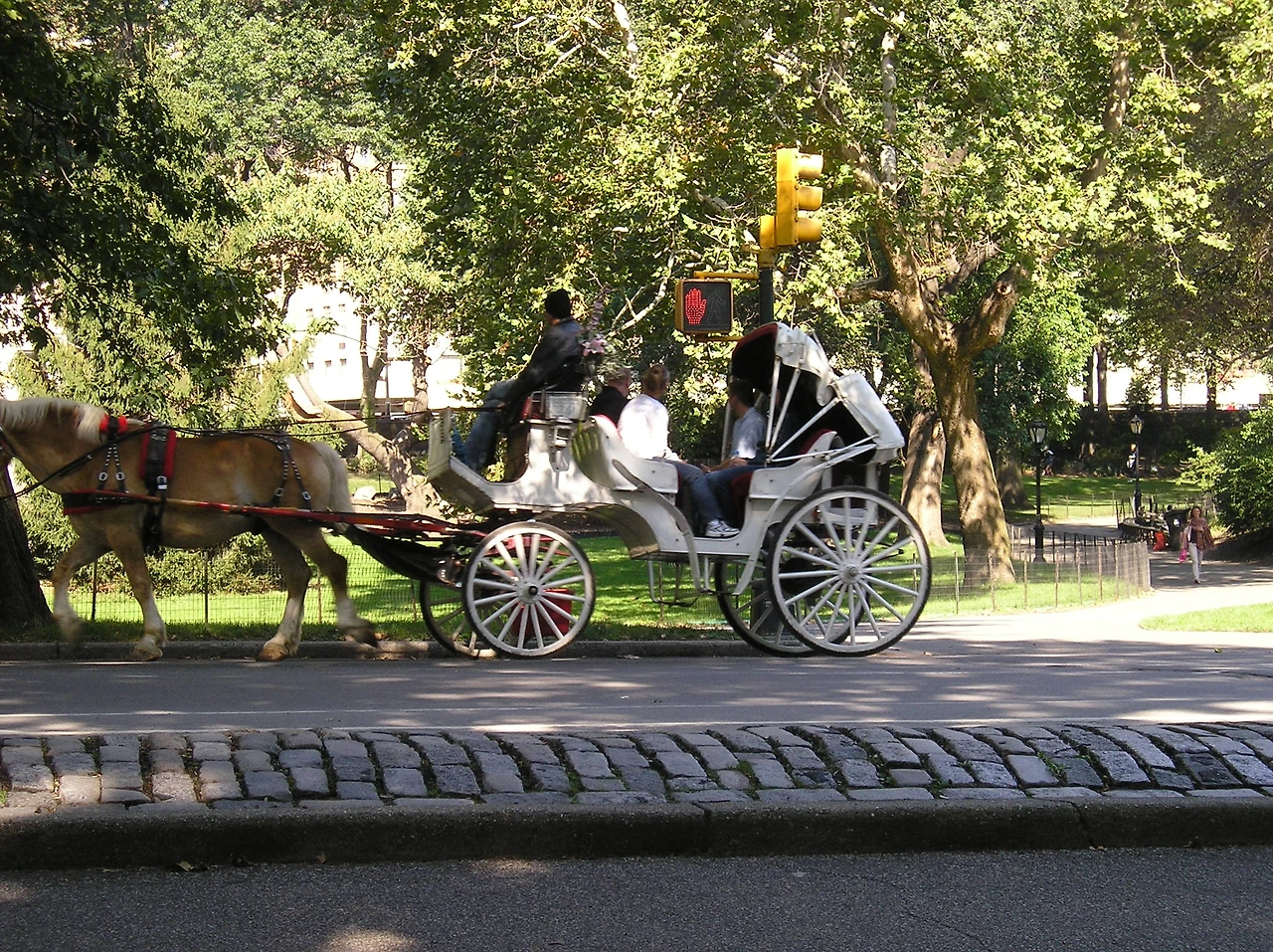 센트럴 팍-마차.JPG